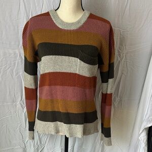 Madewell Women’s Crewneck Sweater in Earthy Stripes